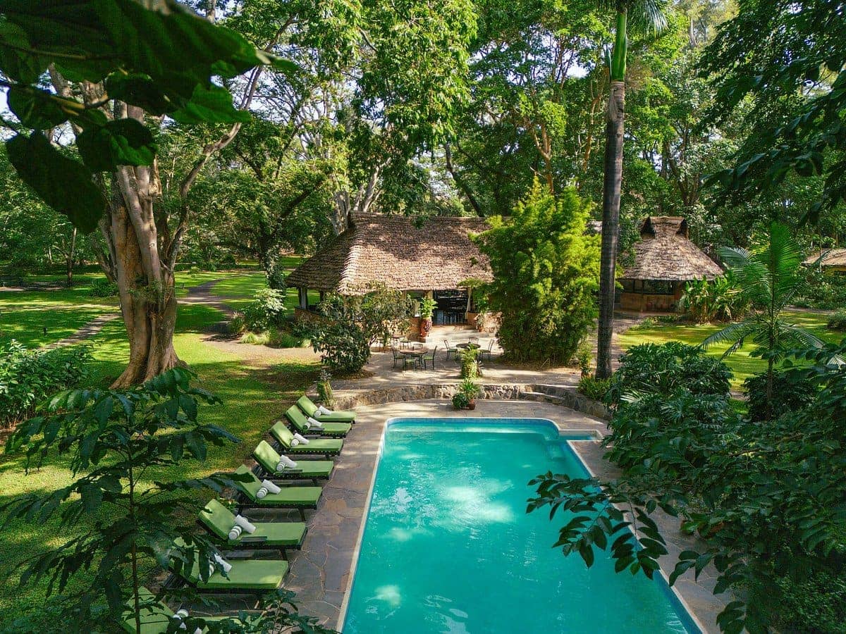 Thatched lodge pool