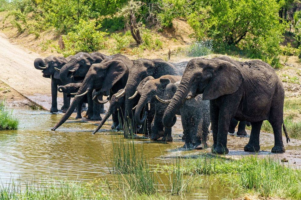 Lake Manyara