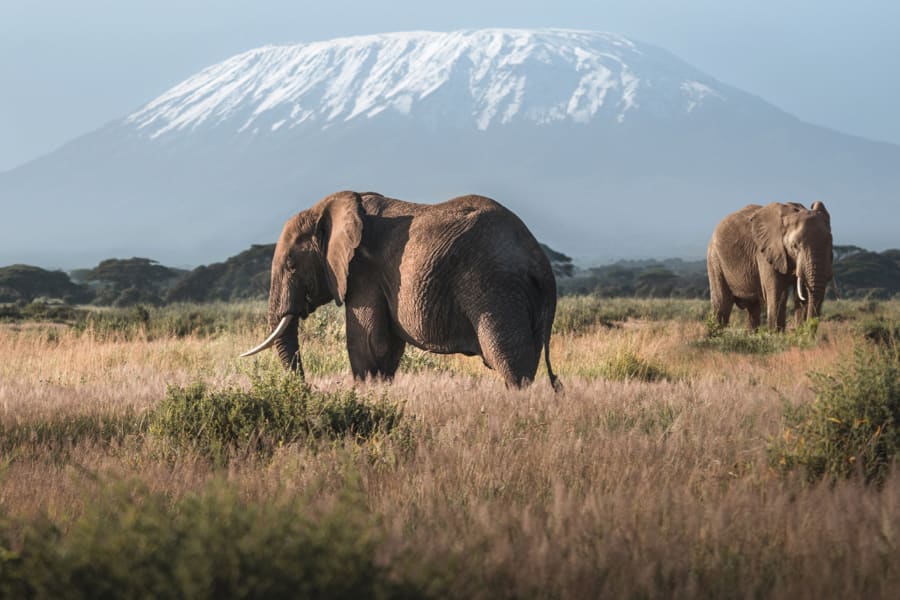 Serengeti & Ngorongoro Luxury Safari : 8 Days