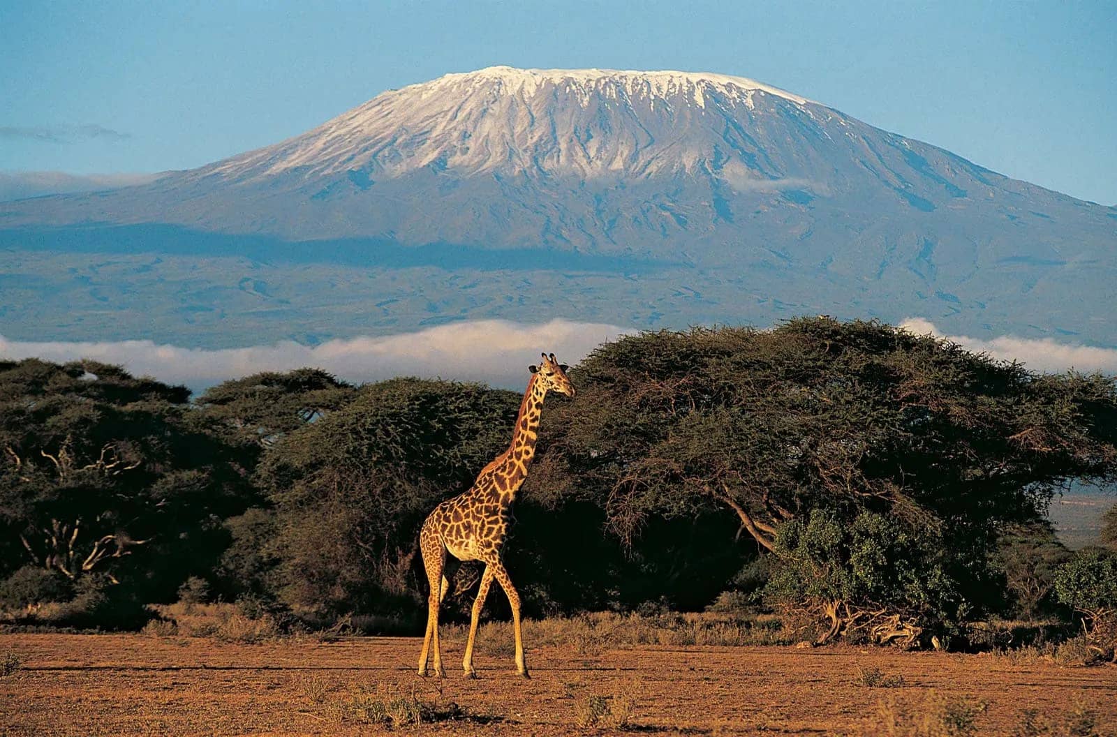 Machame Route : 7 Days Kilimanjaro Summit