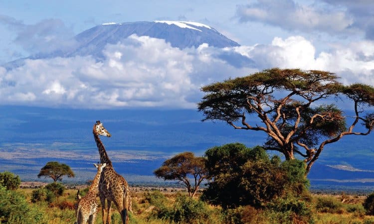 Marangu Route : 6 Days Kilimanjaro Climb