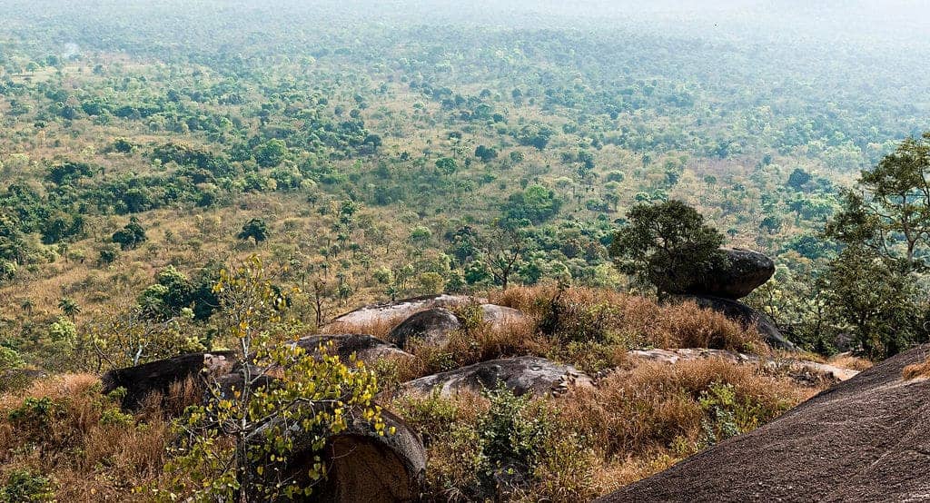 Tanzania Grand Safari : 10 Days