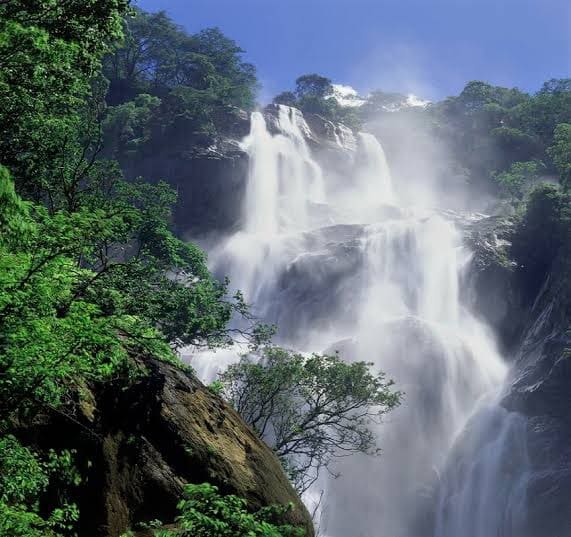 Materuni Waterfalls: Nature, Culture & Coffee Experience