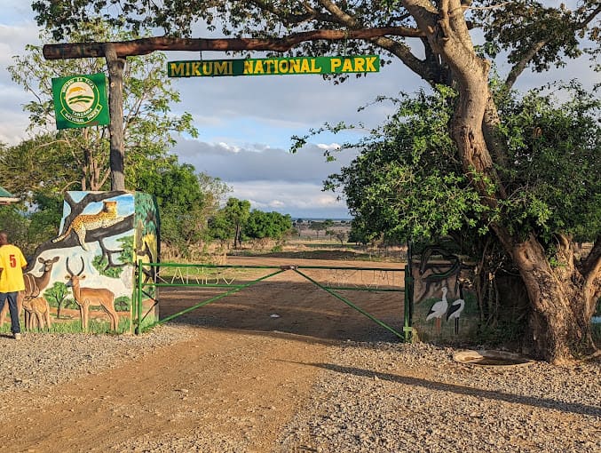 2-Day Mikumi National Park Safari