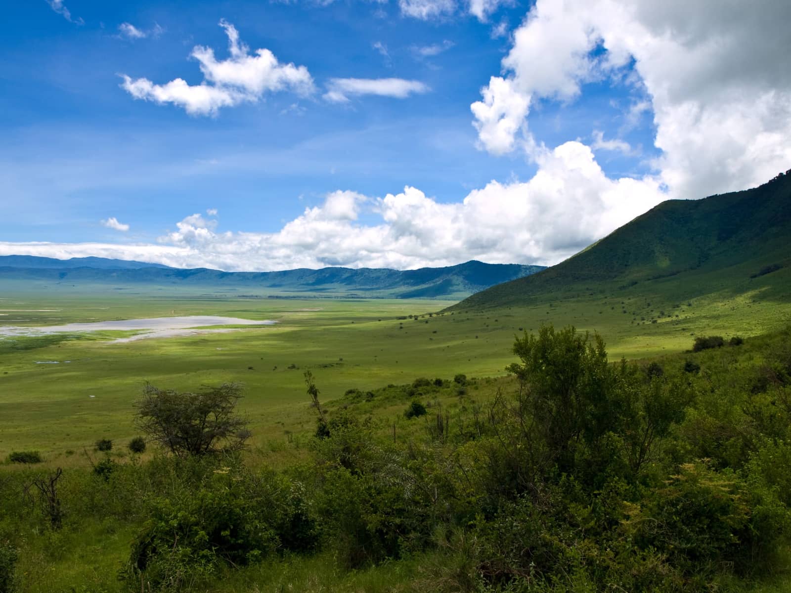 2-Day Tanzania Safari