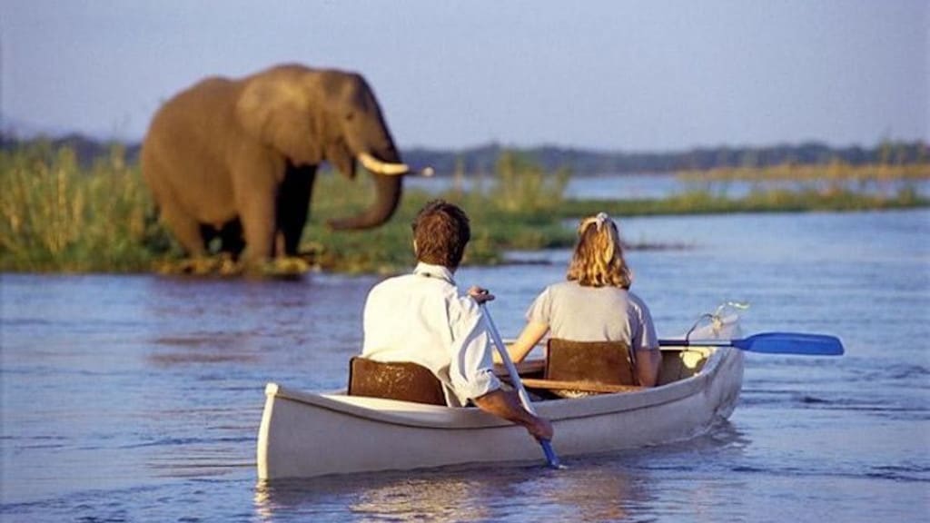5-Day Nyerere Boat & Game Safari