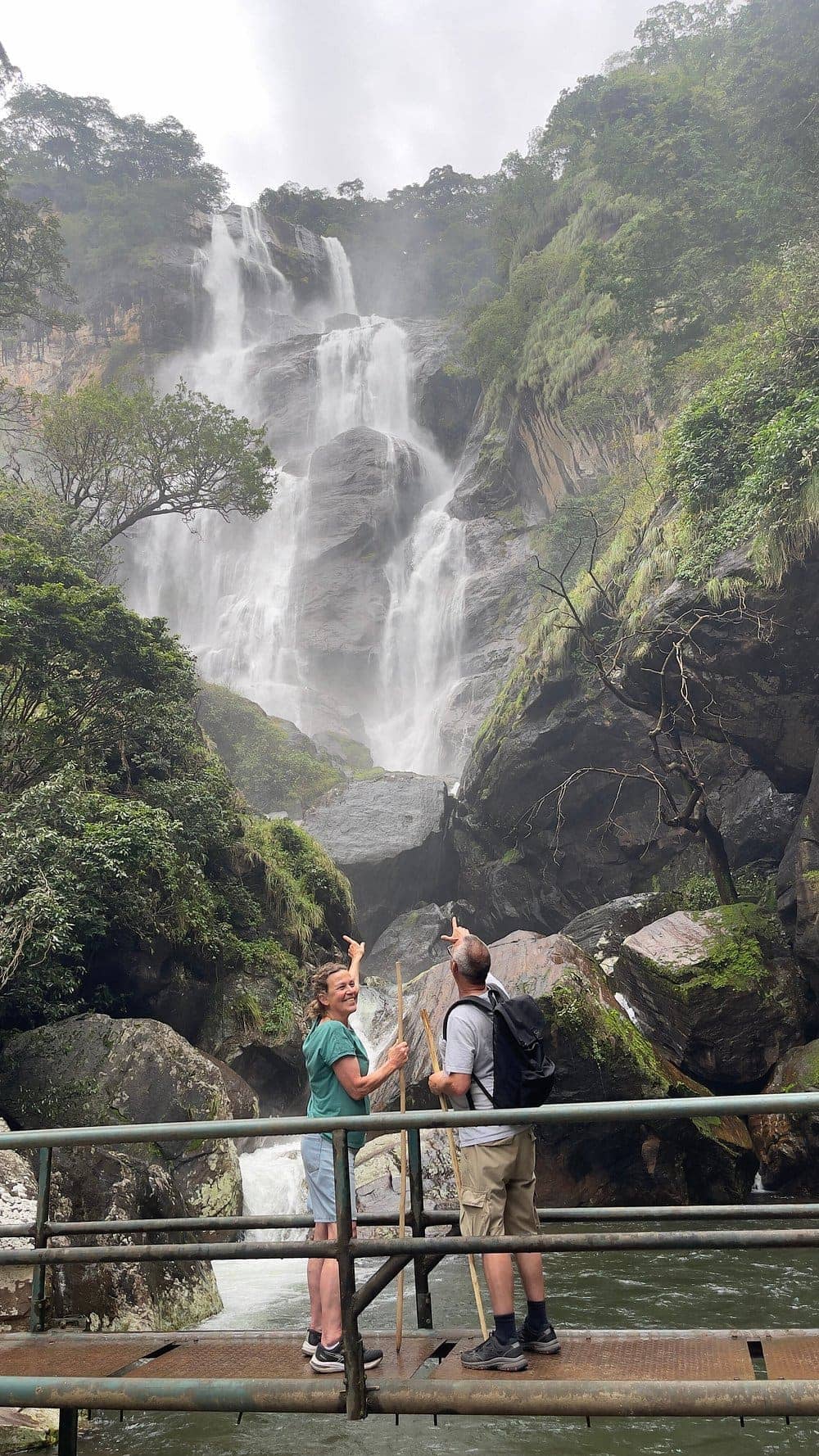 4-Day Udzungwa Mountains Hiking Safari