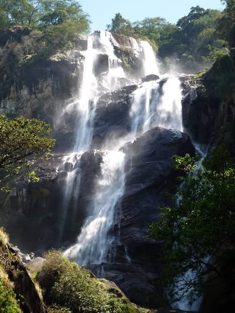 4-Day Mikumi & Udzungwa Mountains Safari