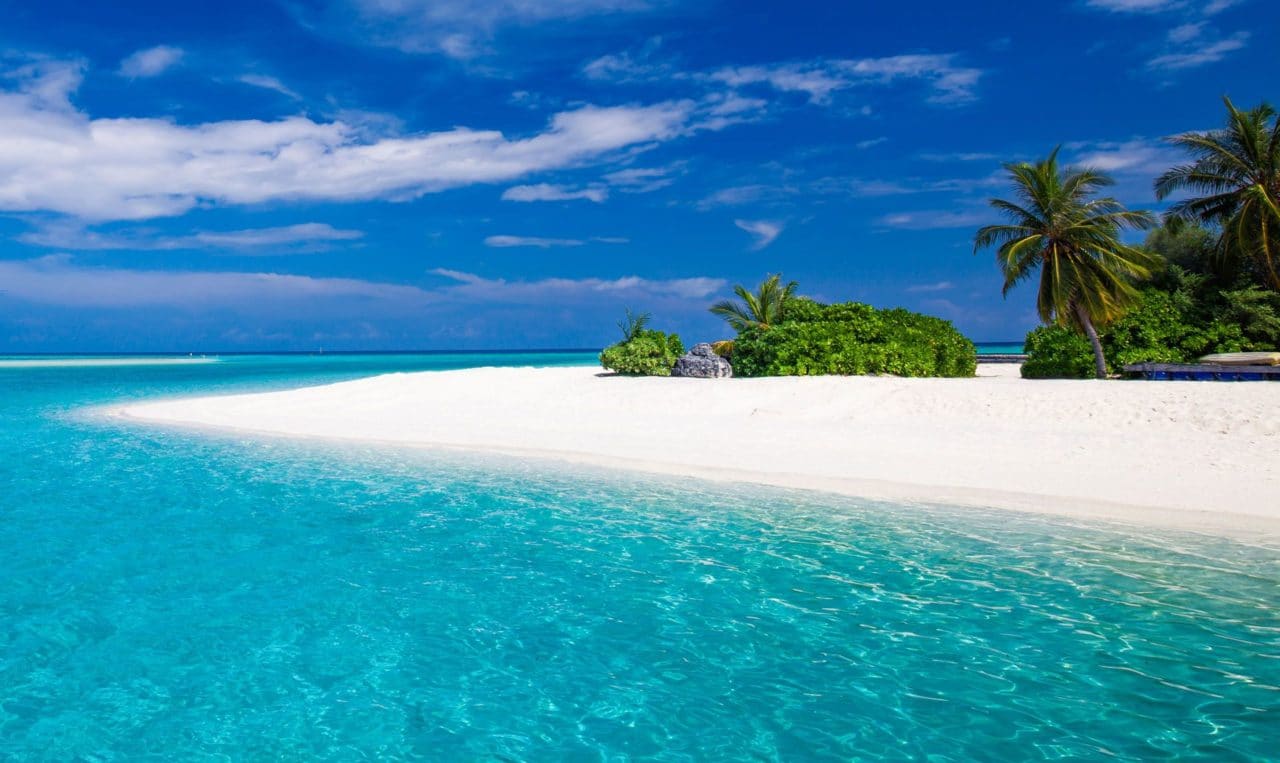 Zanzibar Vacation