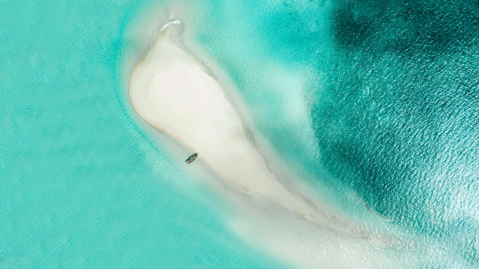 Coral Kingdom: 6 Days Mafia Island Marine Safari